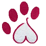 Dog Paw