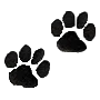 Small Paw Prints